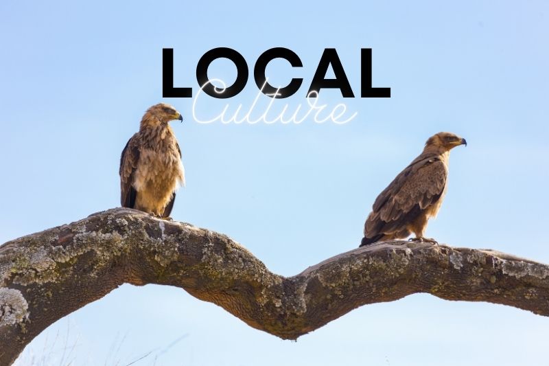 Experience Local Culture