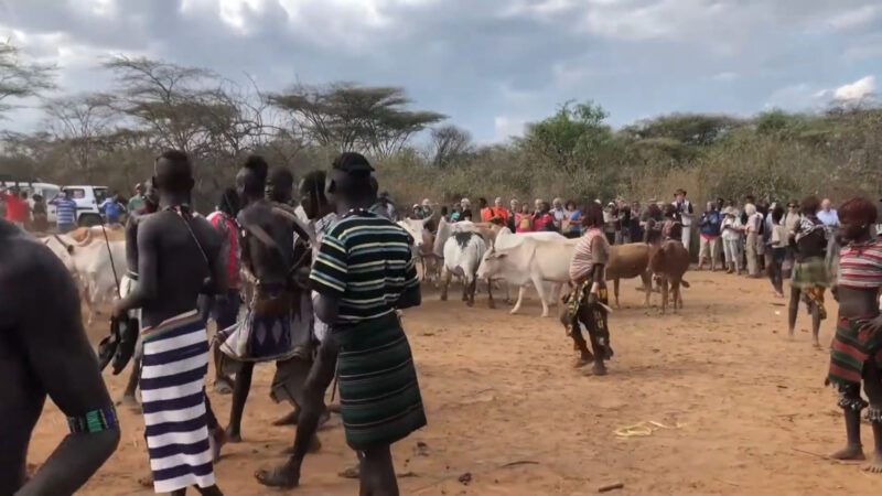 Ceremony Details - Hamar Tribe Bull Jumping ceremony