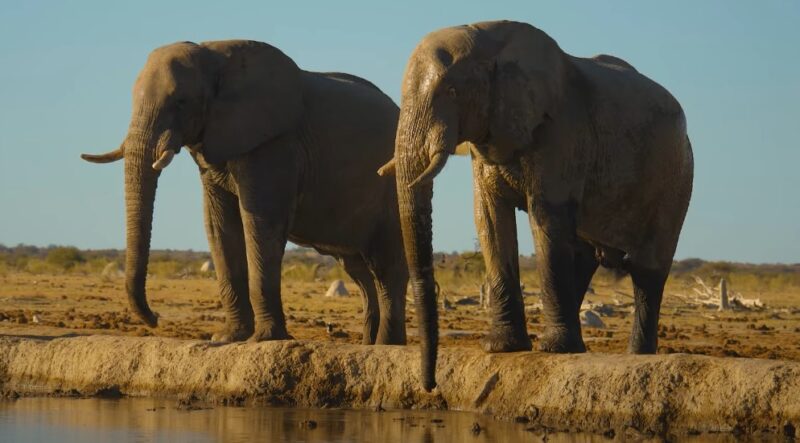 Ethiopia nature parks